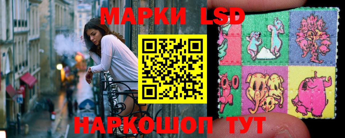 Марки 25I-NBOMe  Вход с VPN  Марки 25I-NBOMe 1,5мг  Бердск  Марки 25I-NBOMe 1,5мг 