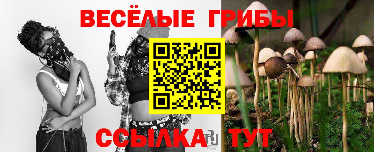 Псилоцибиновые грибы MAGIC MUSHROOMS Бердск